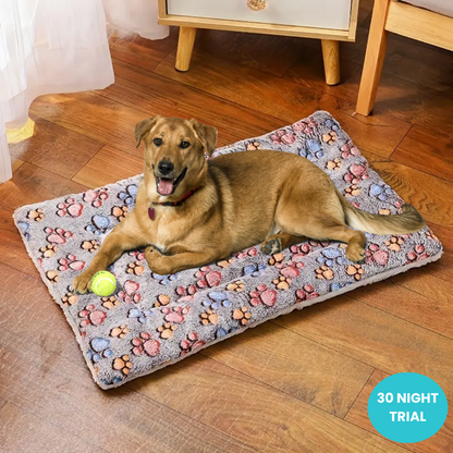 Dog Calming Bed 2.0