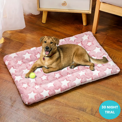 Dog Calming Bed 2.0