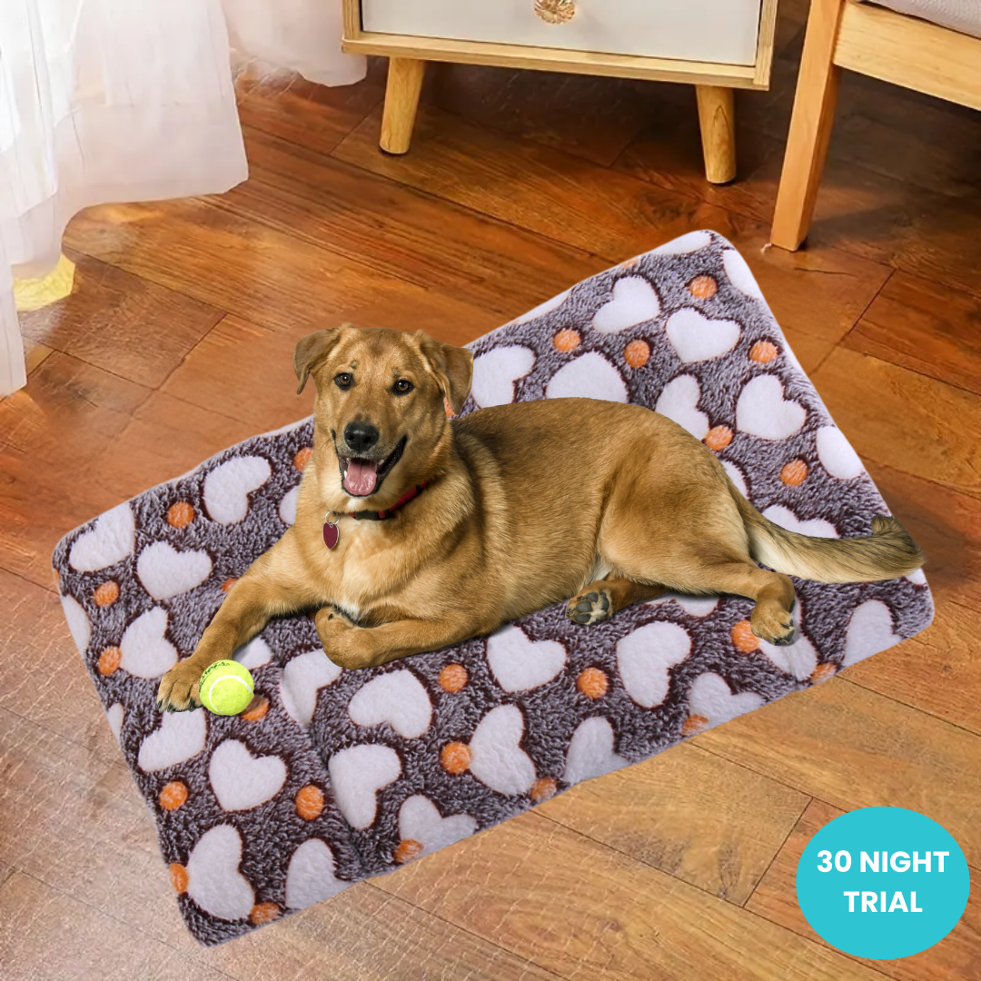 Dog Calming Bed 2.0