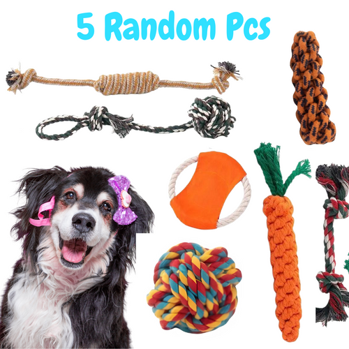 5pcs Random Color Dog Chew Toys