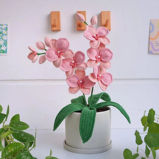 20+ Flower Patterns